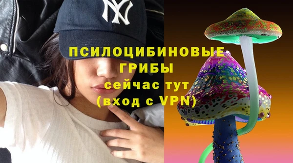 бошки Белая Холуница