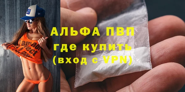 spice Аша