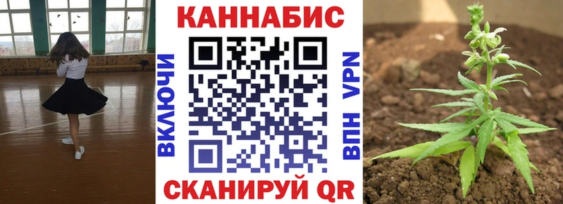 мориарти как зайти Задонск Бошки марихуана SATIVA & INDICA что такое наркотик